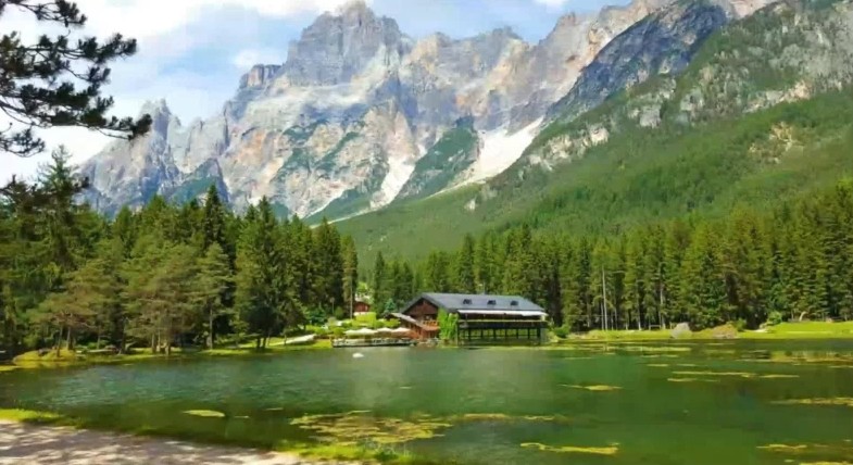 Forest Survey and Biomass Estimation in the Dolomites, Italy